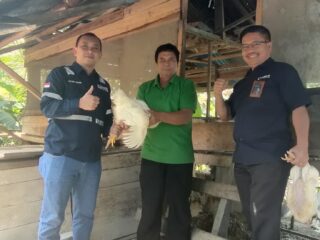 Dongkrak Ekonomi Masyarakat, PT. Antam Tbk UBPN Konut Gelontorkan Bantuan CSR Peternak Ayam
