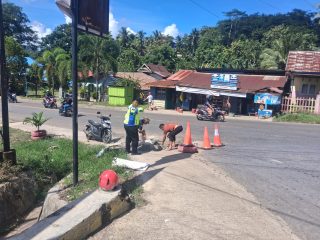 Polantas dan Warga Gotong Royong Perbaiki Jalan Berlubang di Pohara
