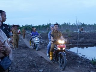 Dorong Ketahanan Pangan, Bupati Ikbar dan Wabup Abuhaera Pimpin Panen Raya Ikan Bandeng di Desa Puulemo