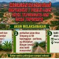 Masyarakat Tapunggaya dan Tapuemea Siap Dukung Program Ketahanan Pangan Melalui Penanaman Sawit dan Pisang Di Eks Iup PT. Sriwijaya Raya